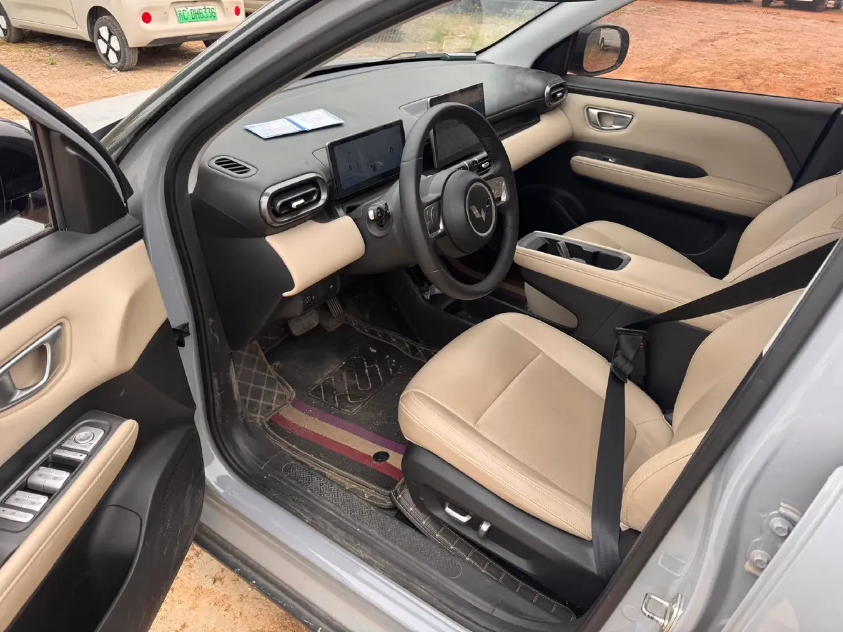 2024 WuLing BinGuoPLUS BEV 50.6KWH,autocango,china used car exporter,china ev exporter,chinese used car exporter,chinese used ev exporter