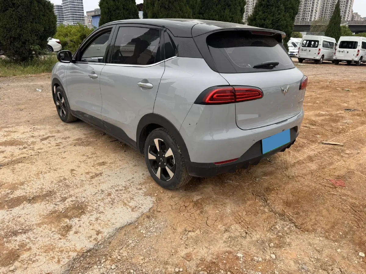 2024 WuLing BinGuoPLUS BEV 50.6KWH,autocango,china used car exporter,china ev exporter,chinese used car exporter,chinese used ev exporter