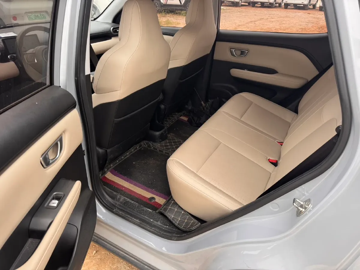 2024 WuLing BinGuoPLUS BEV 50.6KWH,autocango,china used car exporter,china ev exporter,chinese used car exporter,chinese used ev exporter