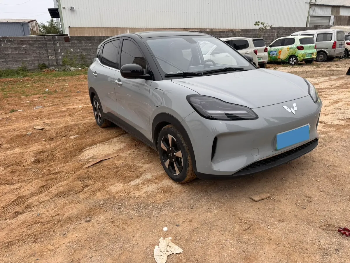2024 WuLing BinGuoPLUS BEV 50.6KWH,autocango,china used car exporter,china ev exporter,chinese used car exporter,chinese used ev exporter