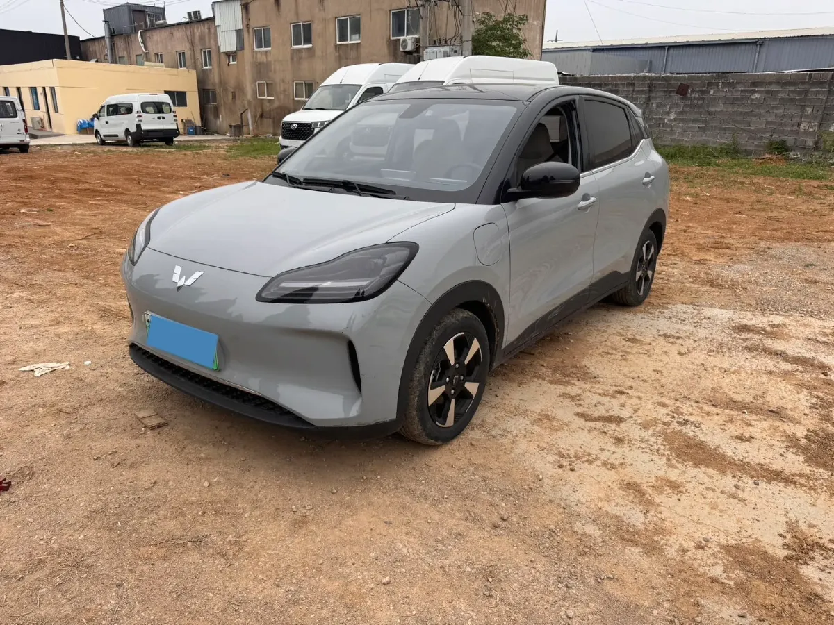 2024 WuLing BinGuoPLUS BEV 50.6KWH,autocango,china used car exporter,china ev exporter,chinese used car exporter,chinese used ev exporter