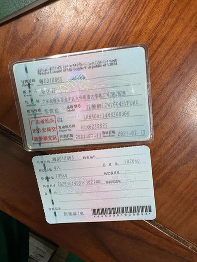 2021 WuLing HongGuang MINI EV BEV 9KWH,autocango,china used car exporter,china ev exporter,chinese used car exporter,chinese used ev exporter