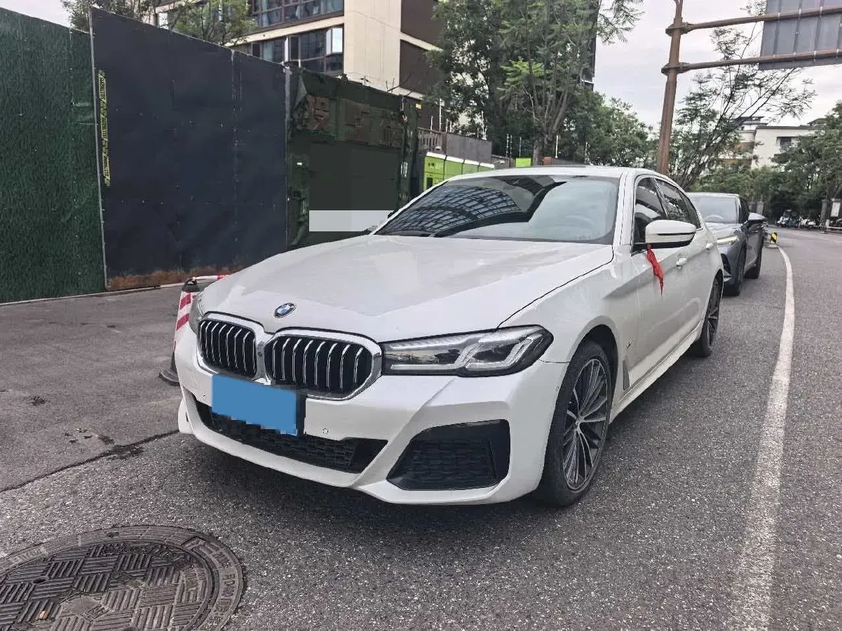 2021 BMW 5 Series 2.0T 252HP L4 8AT,autocango,china used car exporter,china ev exporter,chinese used car exporter,chinese used ev exporter
