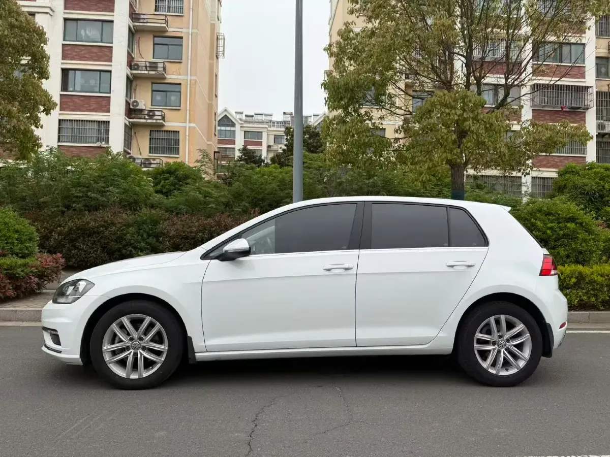 2019 Ford Focus 1.5T 184HP L3 8AT,autocango,china used car exporter,china ev exporter,chinese used car exporter,chinese used ev exporter