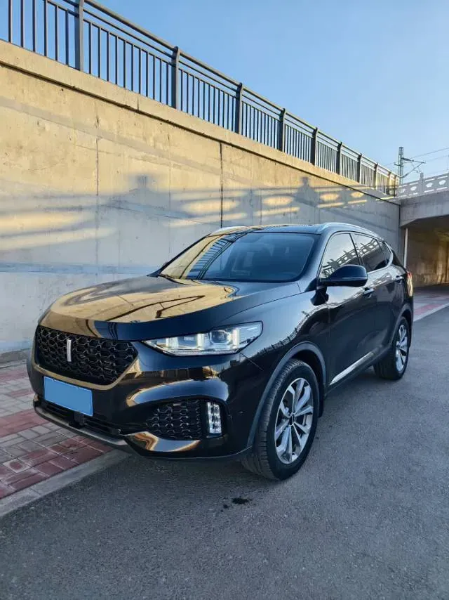 2019 WEY VV6 2.0T 224HP L4 7DCT,autocango,china used car exporter,china ev exporter,chinese used car exporter,chinese used ev exporter