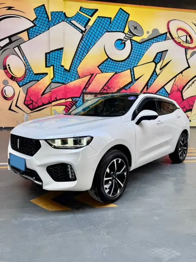 2019 WEY VV5 2.0T 224HP L4 7DCT,autocango,china used car exporter,china ev exporter,chinese used car exporter,chinese used ev exporter