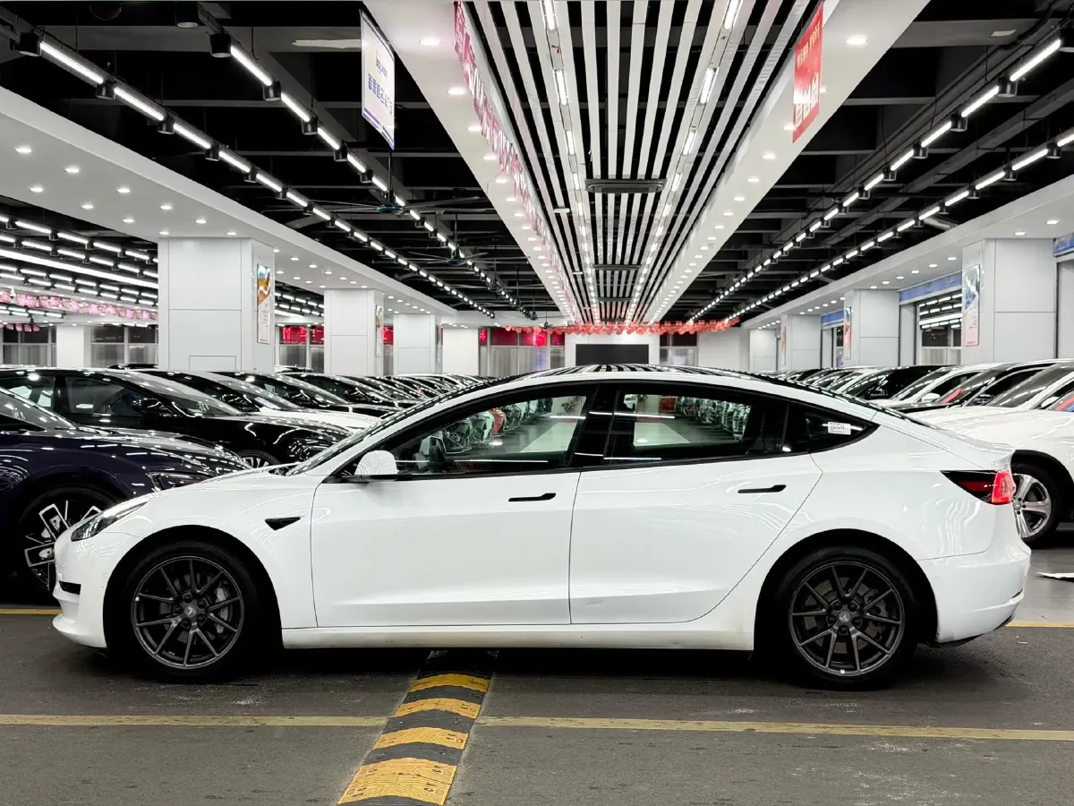 2021 Tesla Model 3 BEV 55KWH,autocango,china used car exporter,china ev exporter,chinese used car exporter,chinese used ev exporter