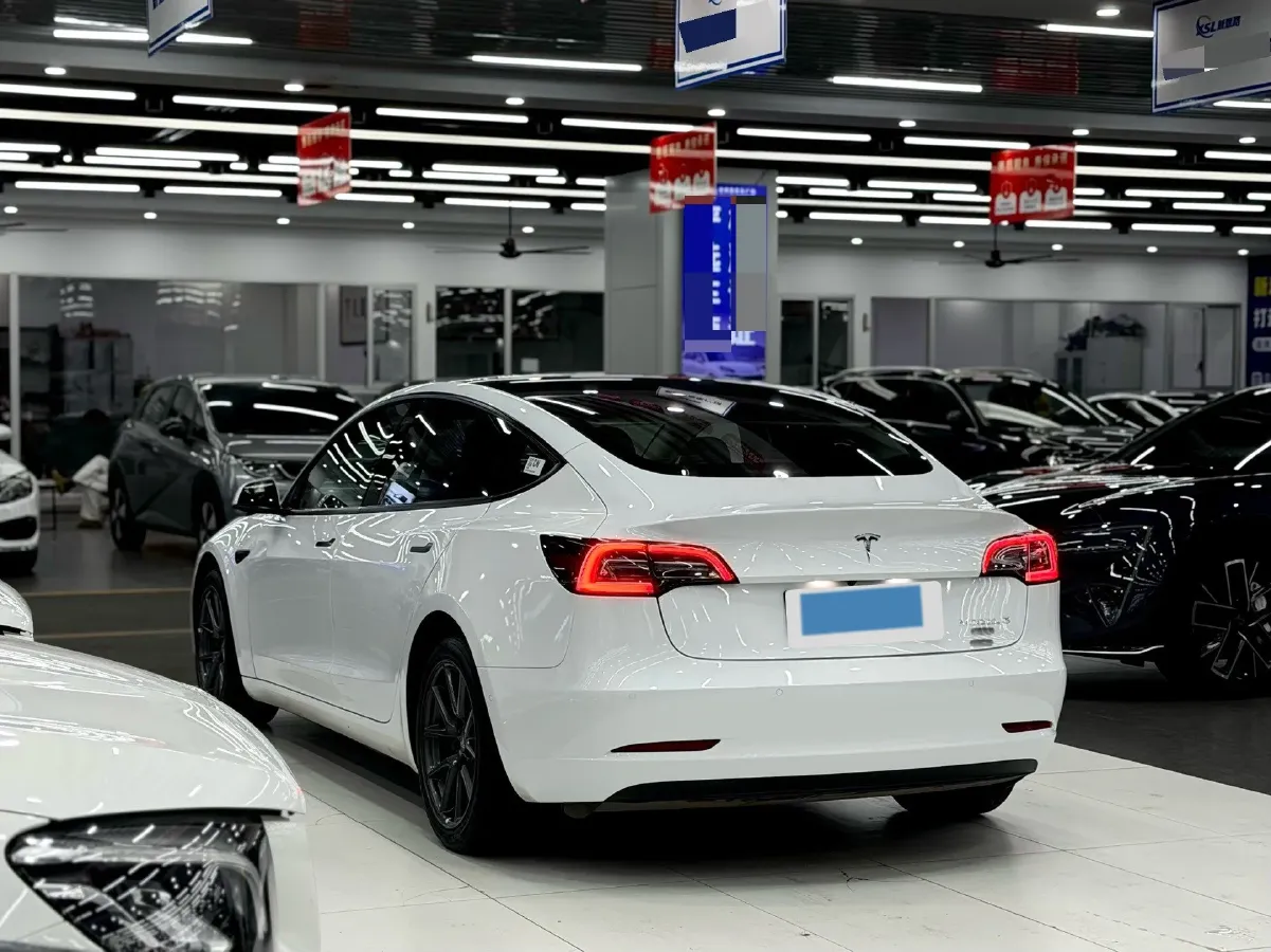 2021 Tesla Model 3 BEV 55KWH,autocango,china used car exporter,china ev exporter,chinese used car exporter,chinese used ev exporter