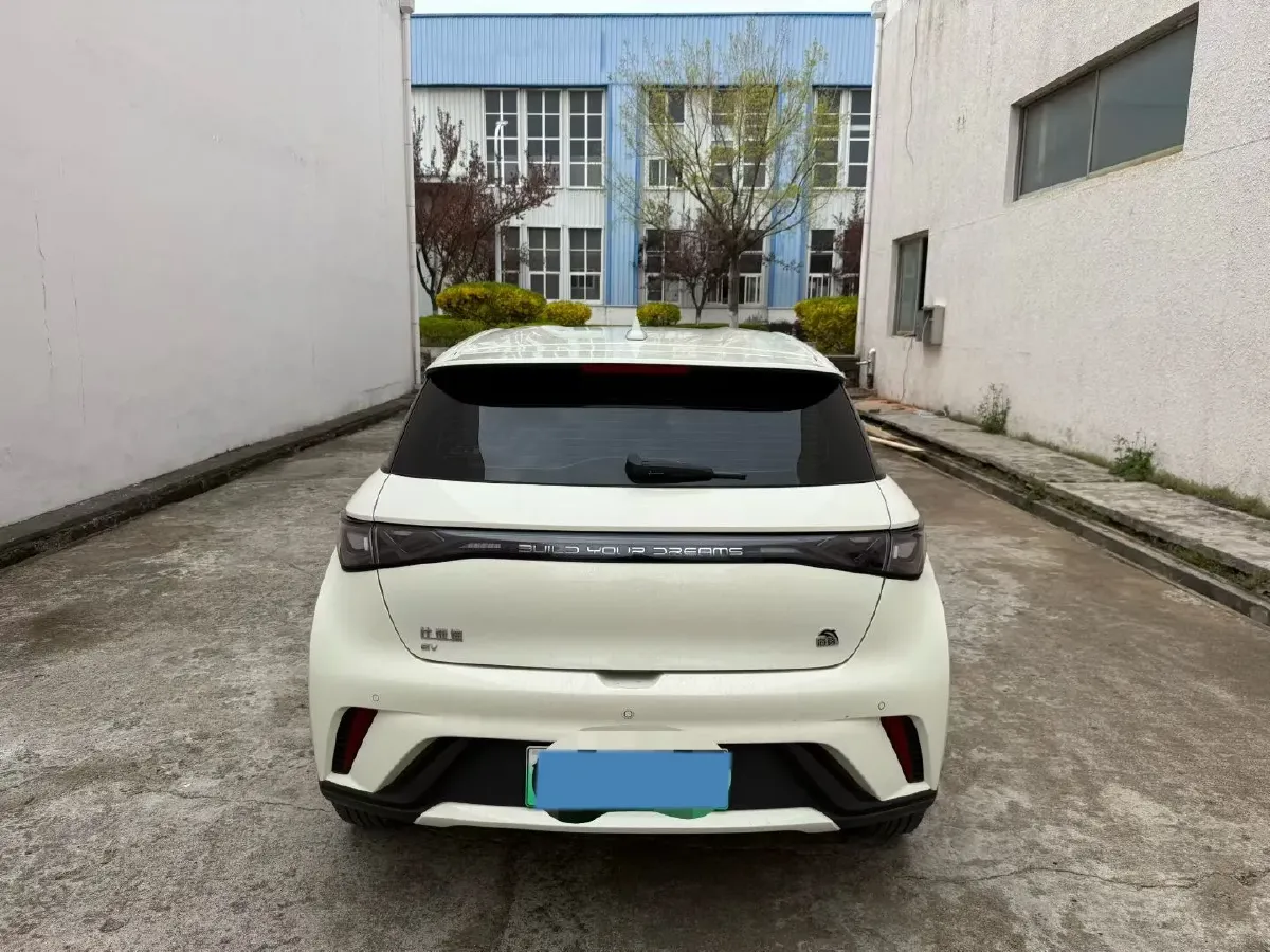 2023 BYD Dolphin BEV 44.928KWH,autocango,china used car exporter,china ev exporter,chinese used car exporter,chinese used ev exporter