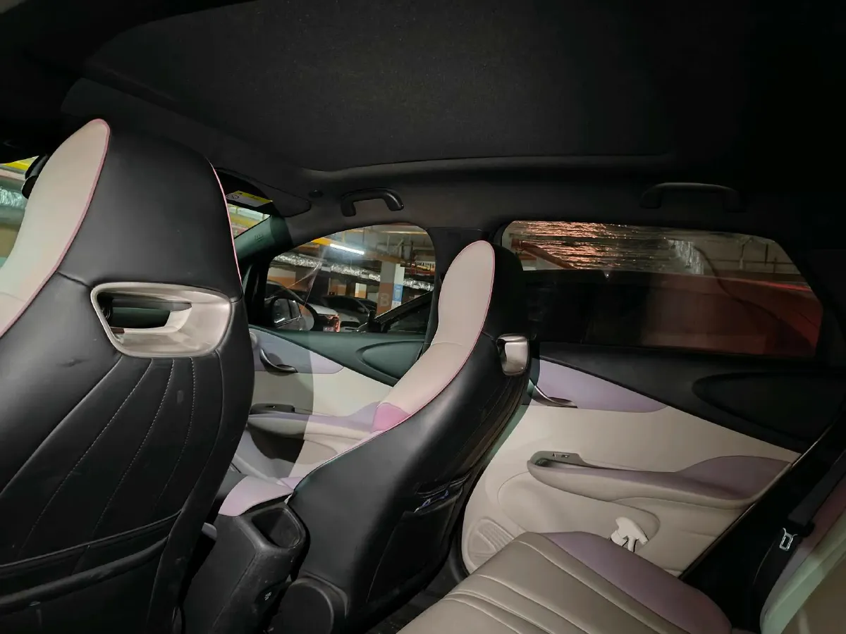 2021 BYD Yuan Pro BEV 50.1KWH,autocango,china used car exporter,china ev exporter,chinese used car exporter,chinese used ev exporter