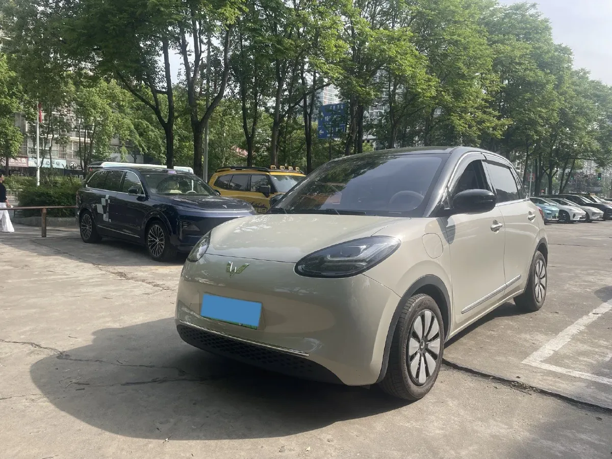 2023 WuLing BinGuo BEV 31.9KWH,autocango,china used car exporter,china ev exporter,chinese used car exporter,chinese used ev exporter