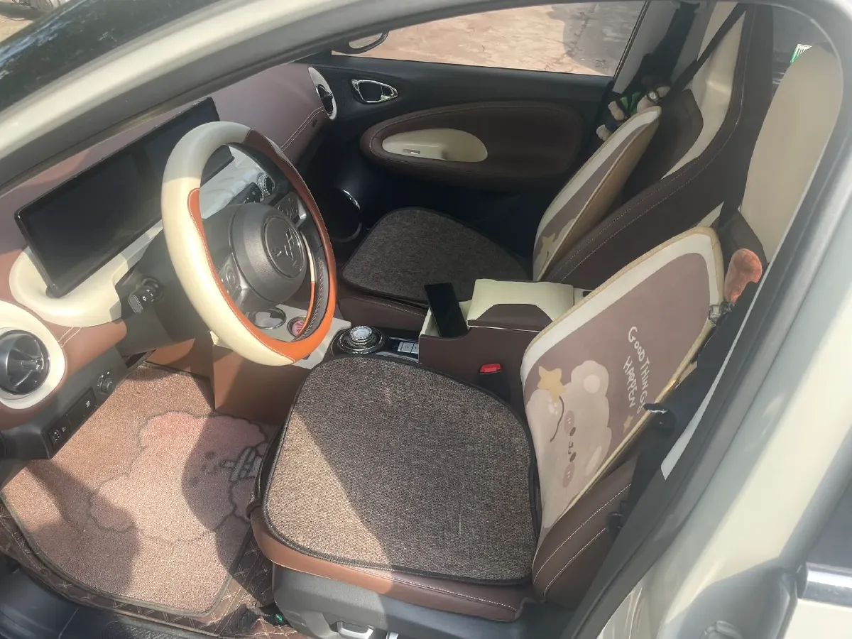 2023 WuLing BinGuo BEV 31.9KWH,autocango,china used car exporter,china ev exporter,chinese used car exporter,chinese used ev exporter