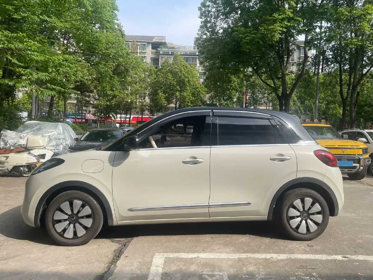 2023 WuLing BinGuo BEV 31.9KWH,autocango,china used car exporter,china ev exporter,chinese used car exporter,chinese used ev exporter