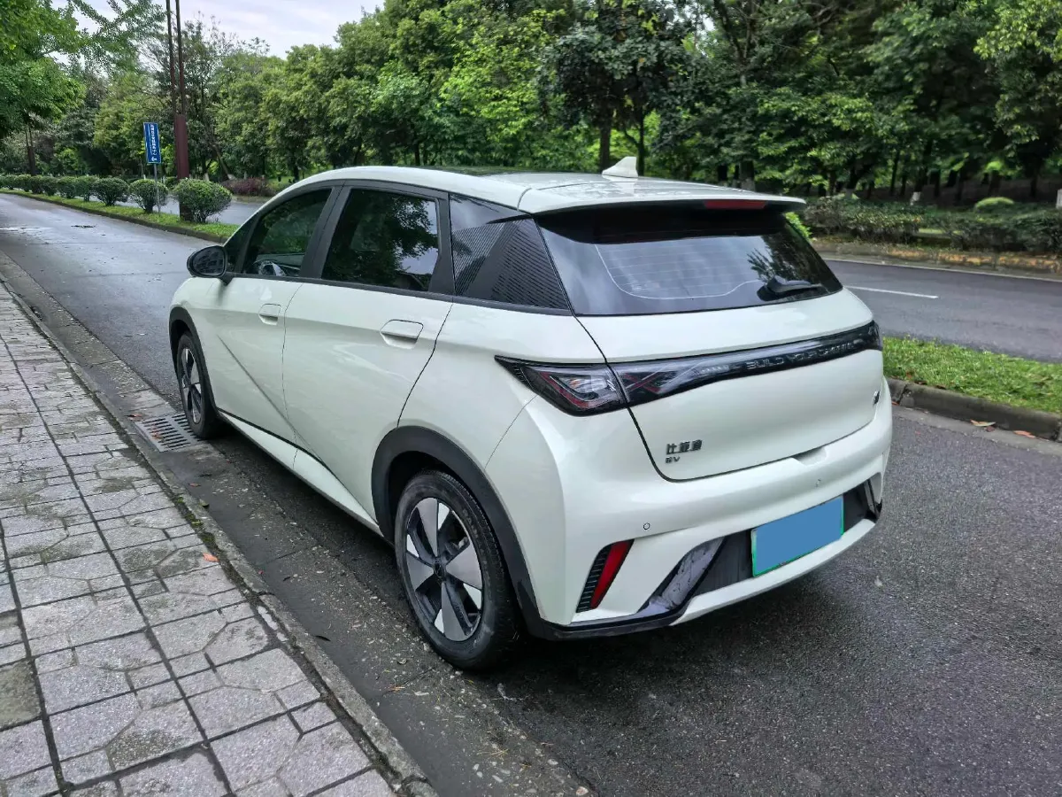 2023 BYD Dolphin BEV 44.928KWH,autocango,china used car exporter,china ev exporter,chinese used car exporter,chinese used ev exporter