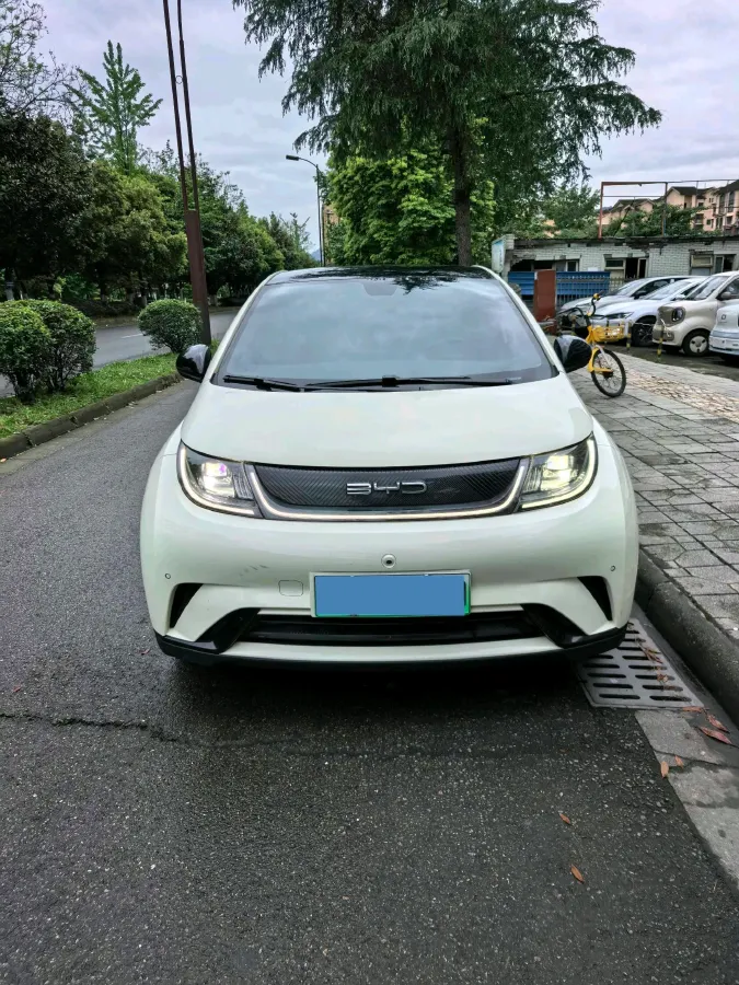 2023 BYD Dolphin BEV 44.928KWH,autocango,china used car exporter,china ev exporter,chinese used car exporter,chinese used ev exporter