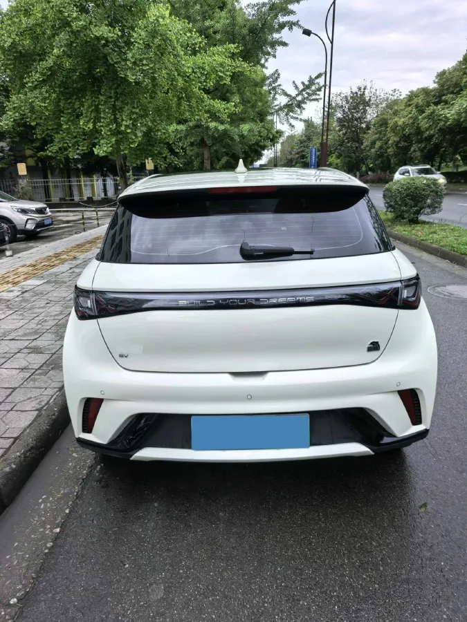 2023 BYD Dolphin BEV 44.928KWH,autocango,china used car exporter,china ev exporter,chinese used car exporter,chinese used ev exporter