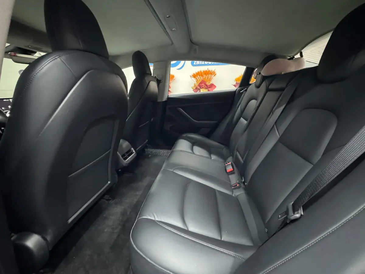 2020 Tesla Model 3 BEV 52KWH,autocango,china used car exporter,china ev exporter,chinese used car exporter,chinese used ev exporter