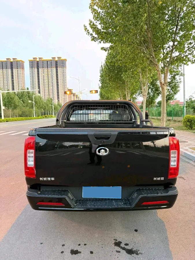 2019 Great Wall Poer 2.0T 163HP L4 6MT,autocango,china used car exporter,china ev exporter,chinese used car exporter,chinese used ev exporter