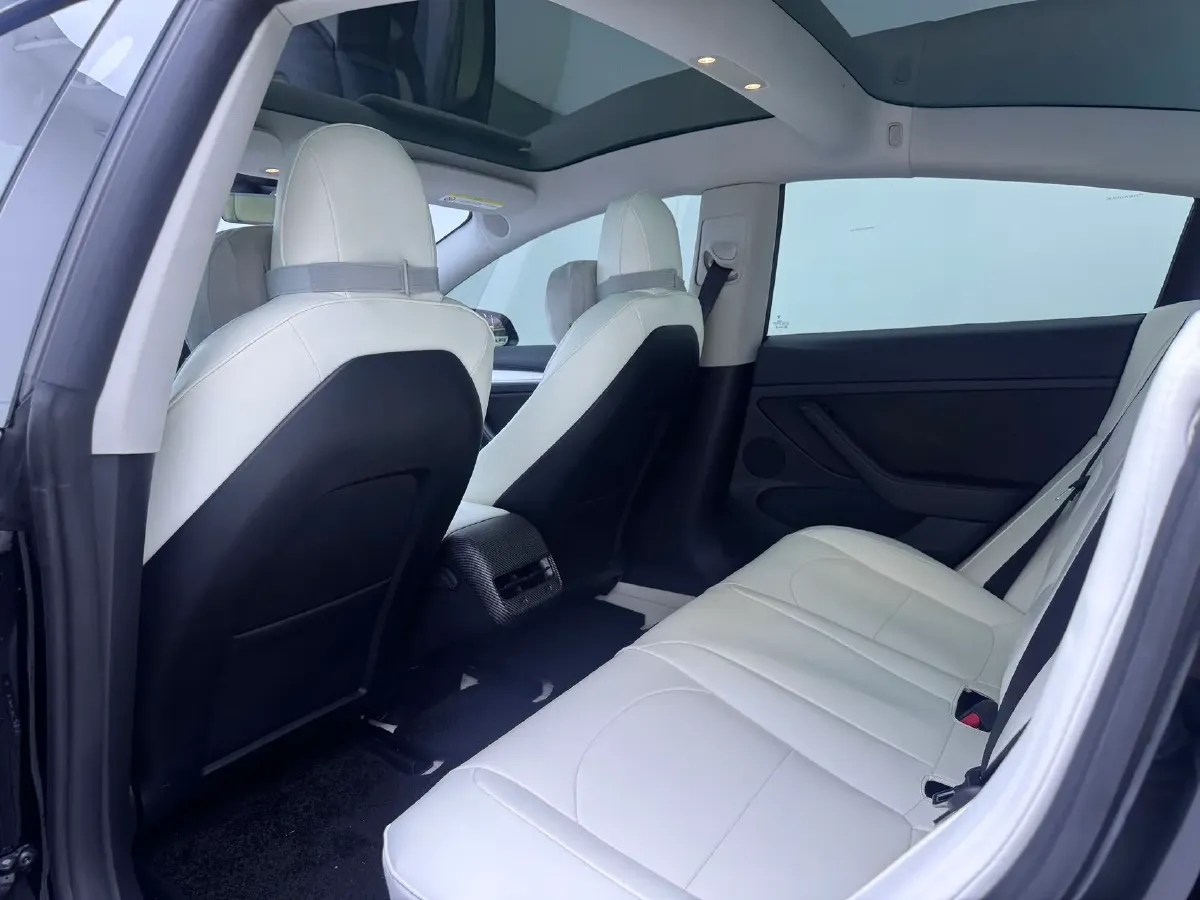 2021 Tesla Model 3 BEV 55KWH,autocango,china used car exporter,china ev exporter,chinese used car exporter,chinese used ev exporter