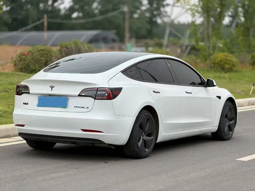2020 Tesla Model 3 BEV 52KWH,autocango,china used car exporter,china ev exporter,chinese used car exporter,chinese used ev exporter