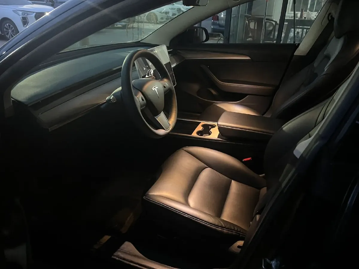 2021 Tesla Model 3 BEV 55KWH,autocango,china used car exporter,china ev exporter,chinese used car exporter,chinese used ev exporter