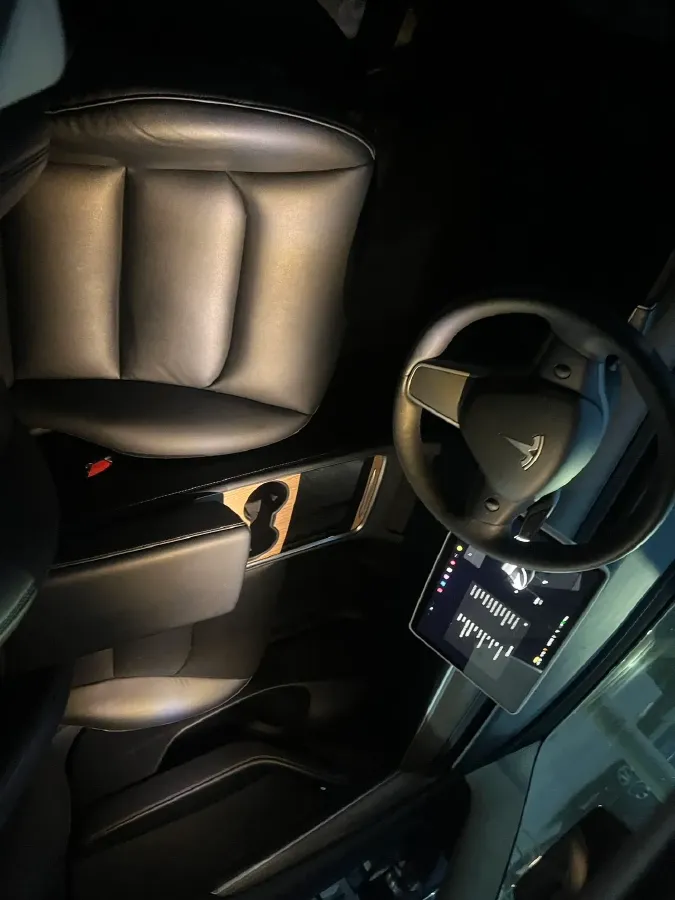 2021 Tesla Model 3 BEV 55KWH,autocango,china used car exporter,china ev exporter,chinese used car exporter,chinese used ev exporter