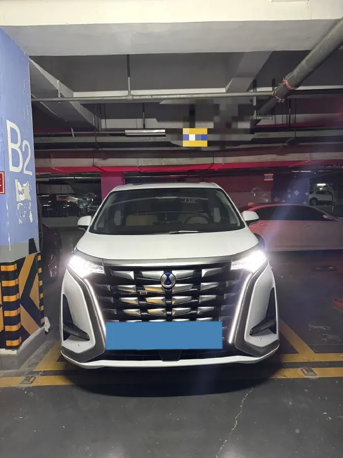 2024 Denza D9 1.5T 139HP L4 E-CVT PHEV 40KWH,autocango,china used car exporter,china ev exporter,chinese used car exporter,chinese used ev exporter