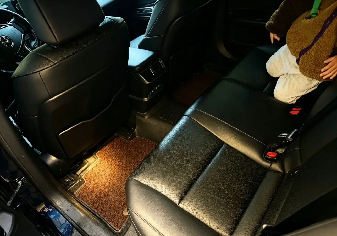 2020 Lexus ES 2.0L 173HP L4 CVT,autocango,china used car exporter,china ev exporter,chinese used car exporter,chinese used ev exporter