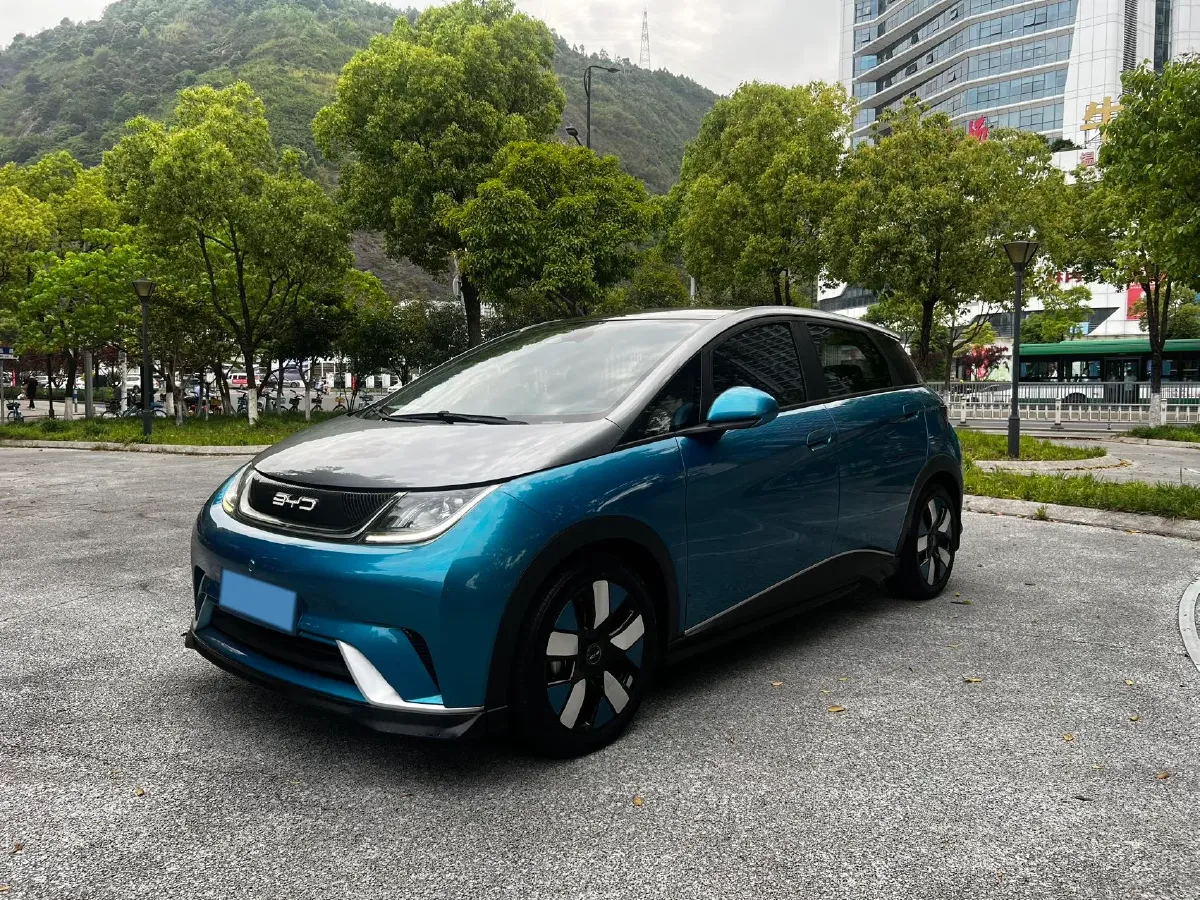 2021 BYD e2 BEV 43.2KWH,autocango,china used car exporter,china ev exporter,chinese used car exporter,chinese used ev exporter