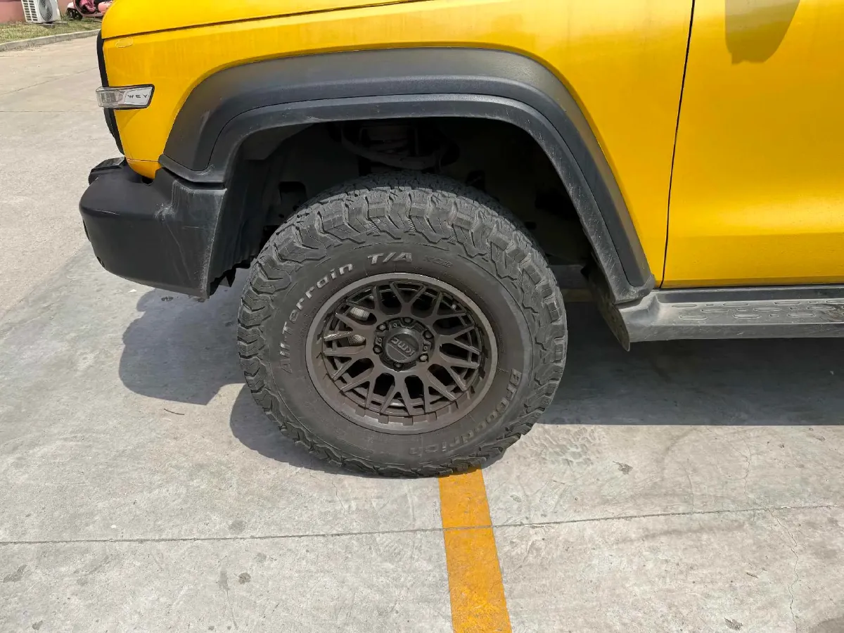 2021 Tank 300 2.0T 227HP L4 8AT,autocango,china used car exporter,china ev exporter,chinese used car exporter,chinese used ev exporter