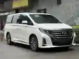 2020 GAC Trumpchi M8 2.0T 252HP L4 8AT