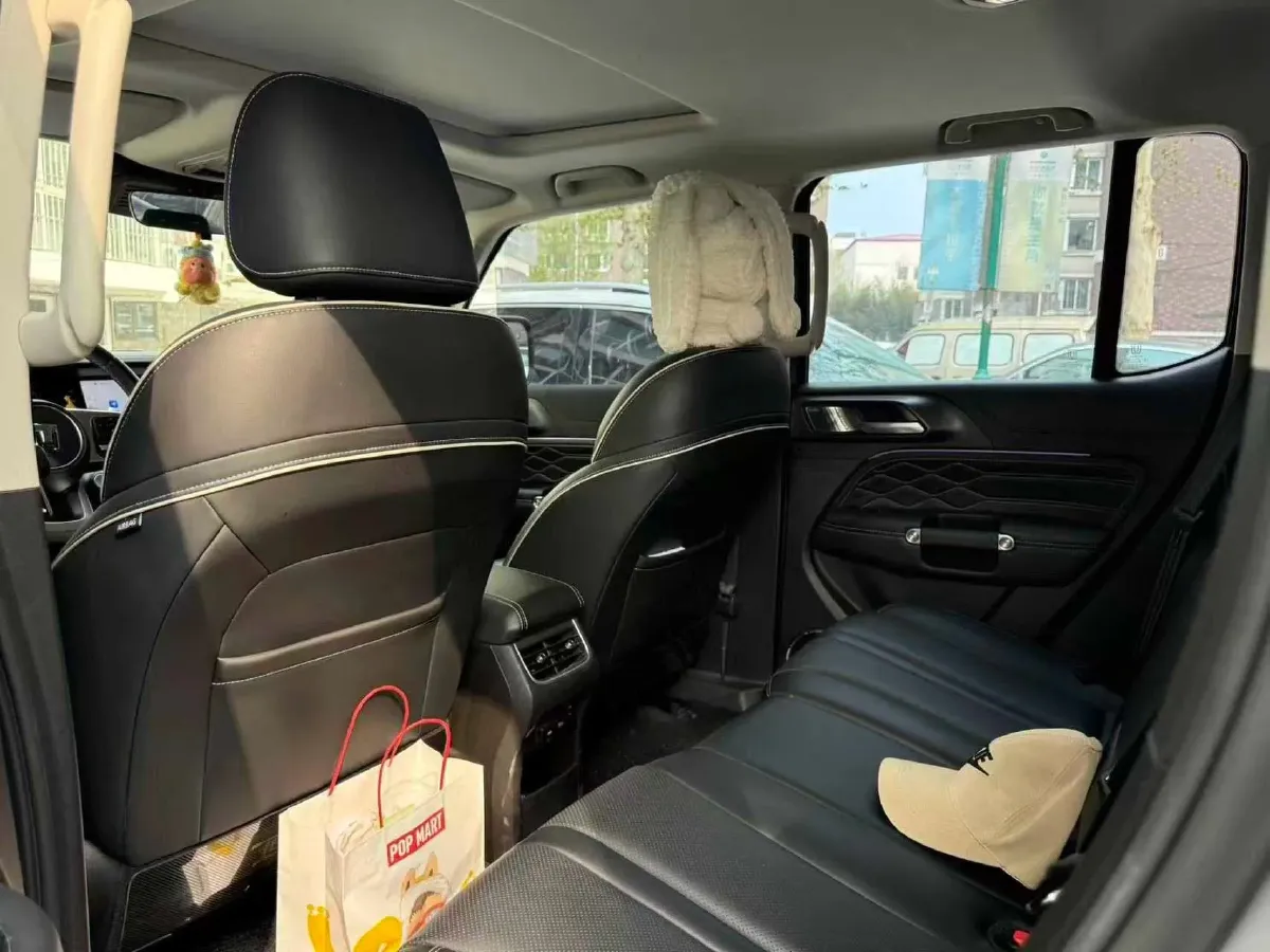 2023 Tank 300 2.0T 227HP L4 8AT,autocango,china used car exporter,china ev exporter,chinese used car exporter,chinese used ev exporter