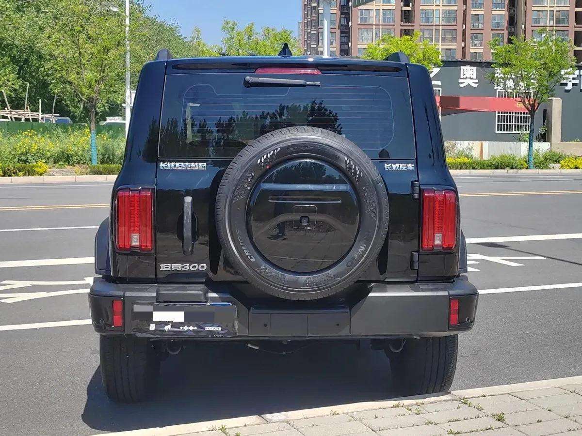 2024 Tank 300 2.0T 227HP L4 8AT,autocango,china used car exporter,china ev exporter,chinese used car exporter,chinese used ev exporter