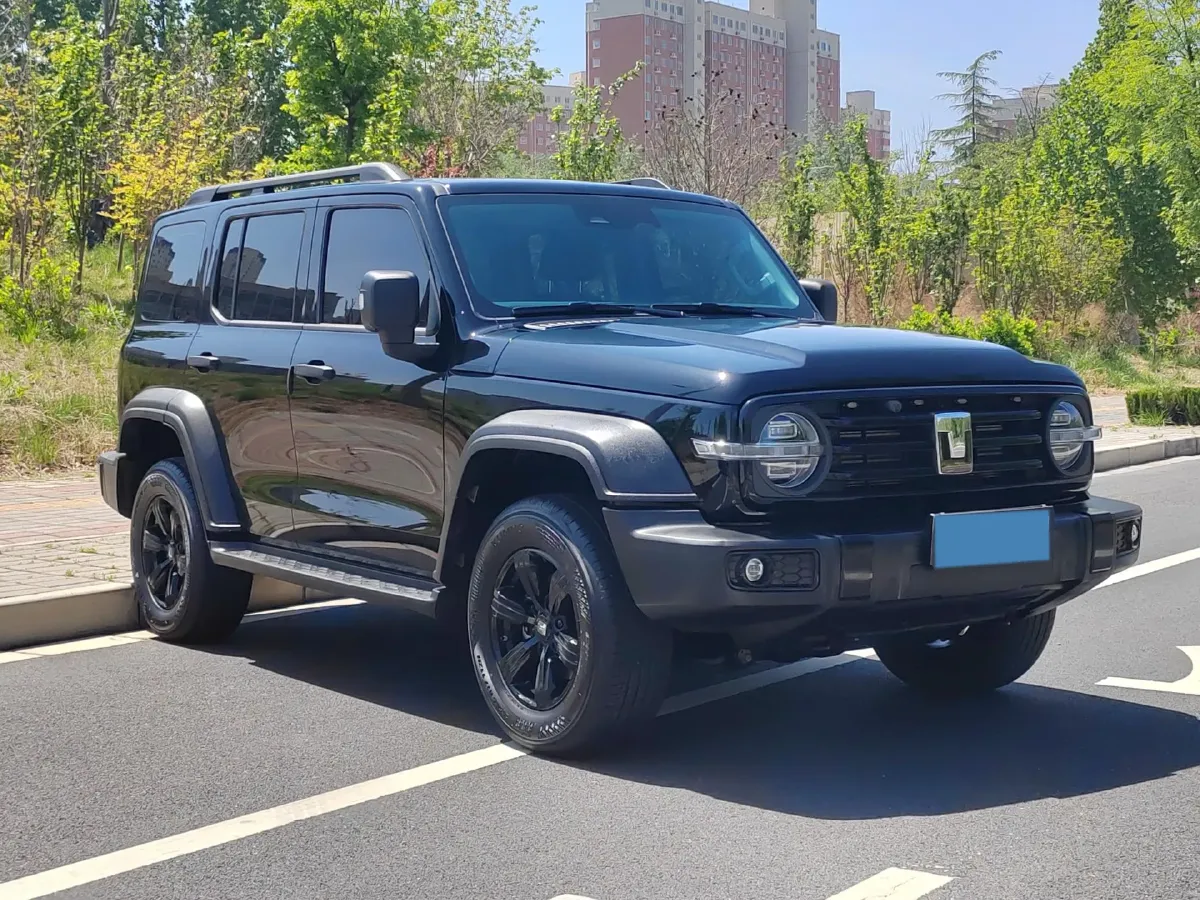 2024 Tank 300 2.0T 227HP L4 8AT,autocango,china used car exporter,china ev exporter,chinese used car exporter,chinese used ev exporter