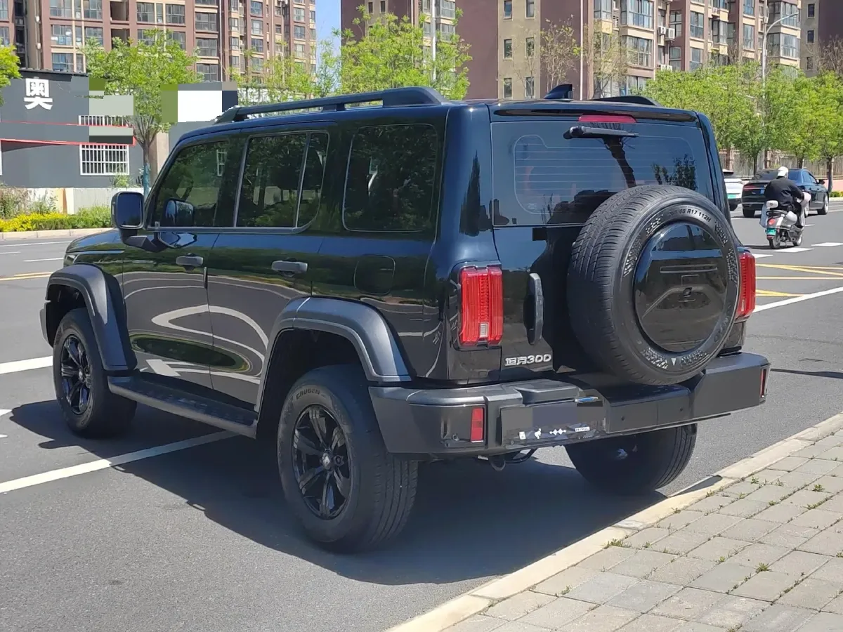 2024 Tank 300 2.0T 227HP L4 8AT,autocango,china used car exporter,china ev exporter,chinese used car exporter,chinese used ev exporter