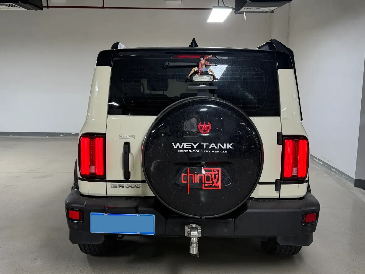 2021 Tank 300 2.0T 227HP L4 8AT,autocango,china used car exporter,china ev exporter,chinese used car exporter,chinese used ev exporter