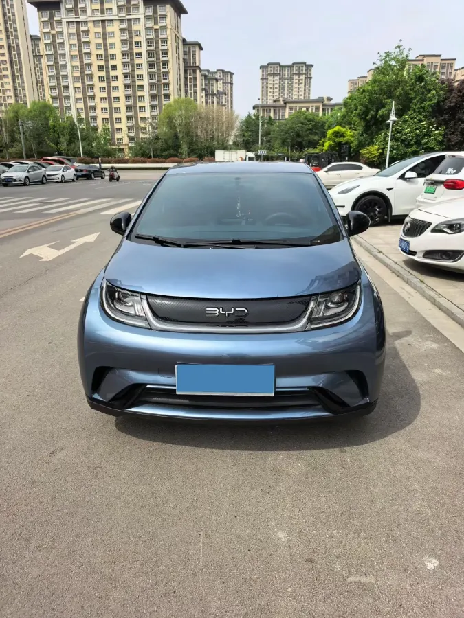 2024 BYD Dolphin BEV 44.928KWH,autocango,china used car exporter,china ev exporter,chinese used car exporter,chinese used ev exporter