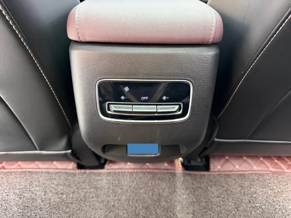 2021 GAC Trumpchi M6 1.5T 169HP L4 6AT,autocango,china used car exporter,china ev exporter,chinese used car exporter,chinese used ev exporter