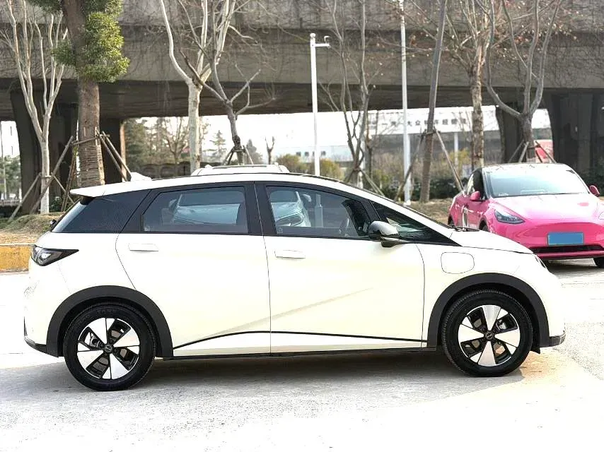 2023 BYD Dolphin BEV 44.928KWH,autocango,china used car exporter,china ev exporter,chinese used car exporter,chinese used ev exporter