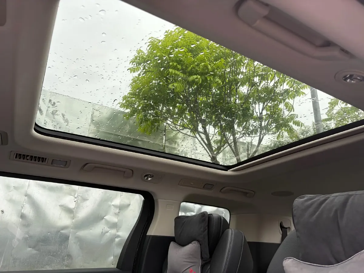 2024 HongQi HQ9 2.0T 163HP L4 1DHT PHEV 20.14KWH,autocango,china used car exporter,china ev exporter,chinese used car exporter,chinese used ev exporter