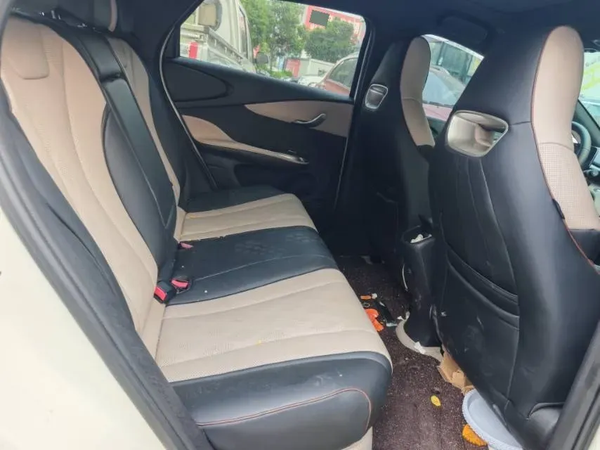 2024 BYD Dolphin BEV 44.928KWH,autocango,china used car exporter,china ev exporter,chinese used car exporter,chinese used ev exporter