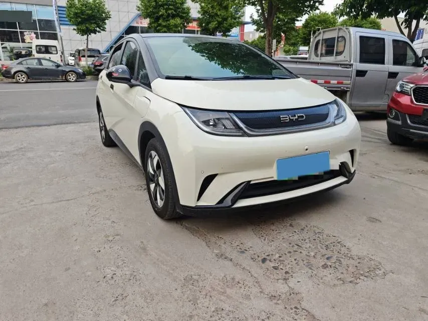 2024 BYD Dolphin BEV 44.928KWH,autocango,china used car exporter,china ev exporter,chinese used car exporter,chinese used ev exporter