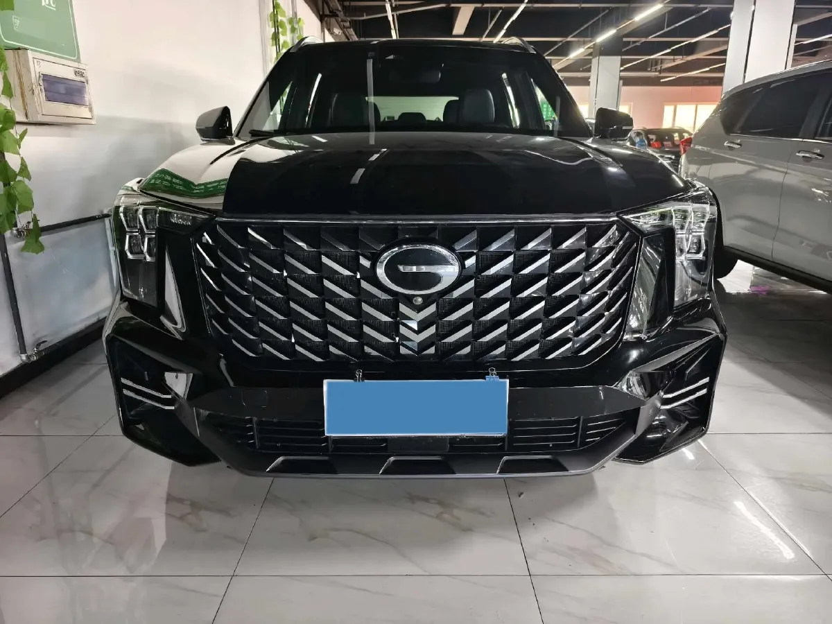 2025 GAC Trumpchi GS8 2.0T 252HP L4 8AT,autocango,china used car exporter,china ev exporter,chinese used car exporter,chinese used ev exporter