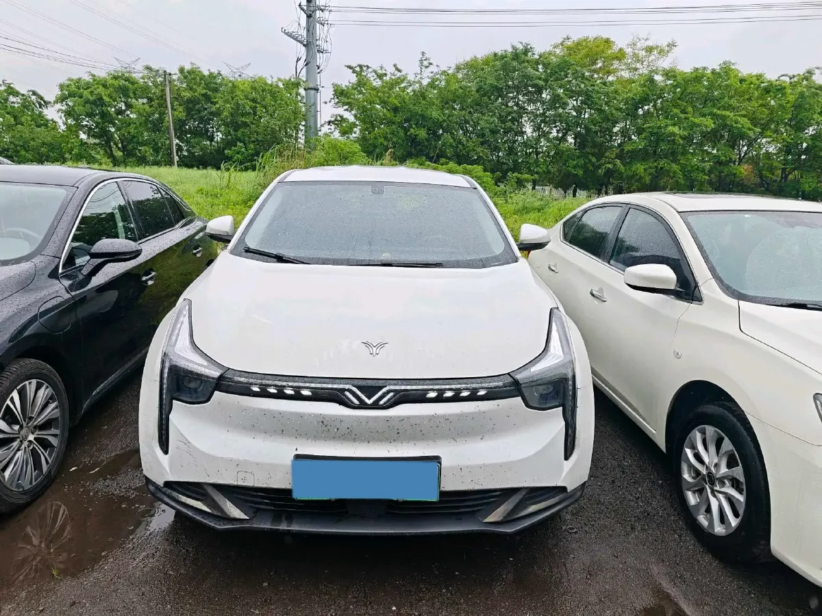 2021 Neta U BEV 54.34KWH,autocango,china used car exporter,china ev exporter,chinese used car exporter,chinese used ev exporter