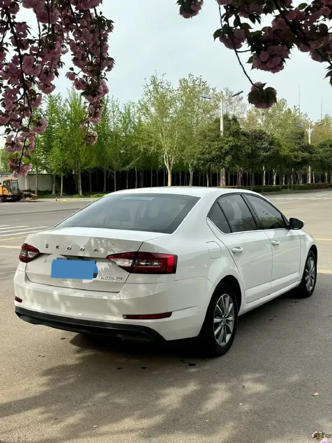 2021 Skoda Octavia 1.5L 113HP L4 6AT,autocango,china used car exporter,china ev exporter,chinese used car exporter,chinese used ev exporter