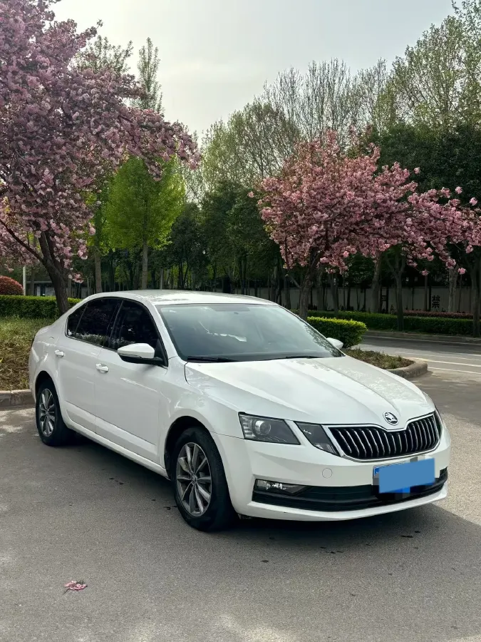 2021 Skoda Octavia 1.5L 113HP L4 6AT,autocango,china used car exporter,china ev exporter,chinese used car exporter,chinese used ev exporter