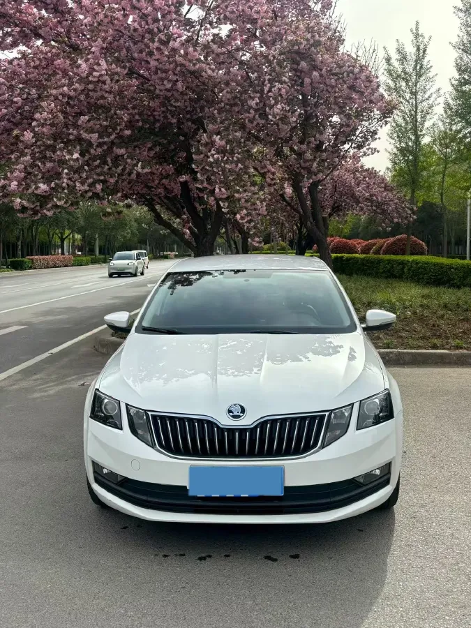 2021 Skoda Octavia 1.5L 113HP L4 6AT,autocango,china used car exporter,china ev exporter,chinese used car exporter,chinese used ev exporter