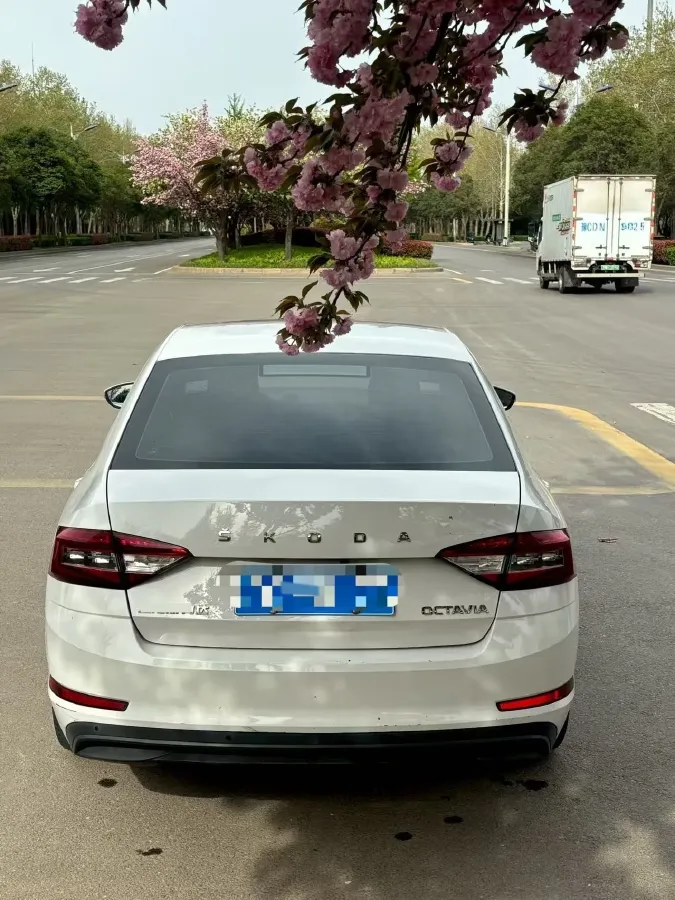 2021 Skoda Octavia 1.5L 113HP L4 6AT,autocango,china used car exporter,china ev exporter,chinese used car exporter,chinese used ev exporter