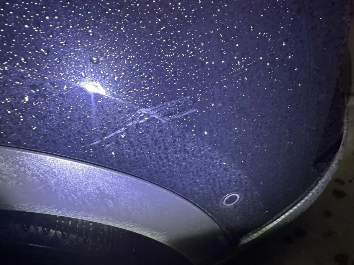 2025 BYD Yuan Plus BEV 49.92KWH,autocango,china used car exporter,china ev exporter,chinese used car exporter,chinese used ev exporter