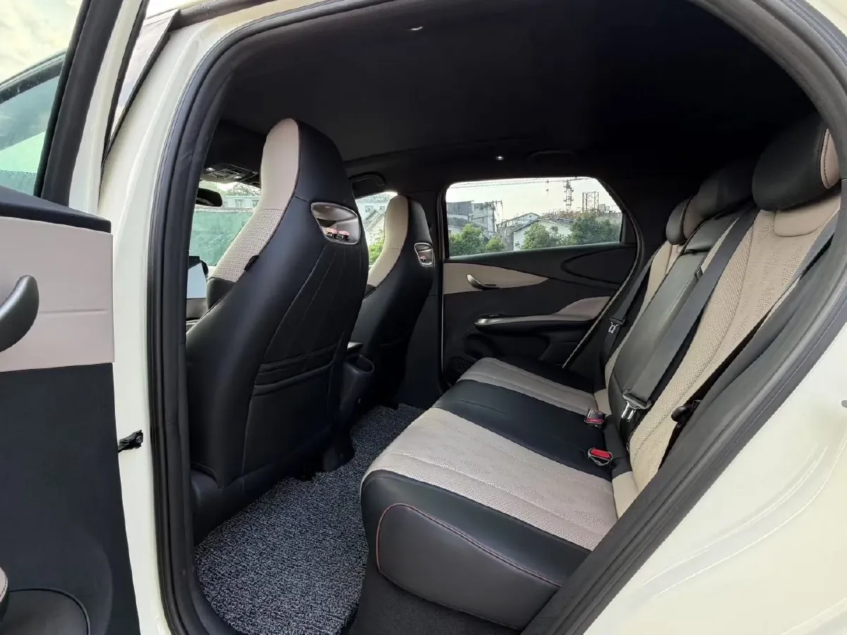 2023 BYD Dolphin BEV 44.928KWH,autocango,china used car exporter,china ev exporter,chinese used car exporter,chinese used ev exporter